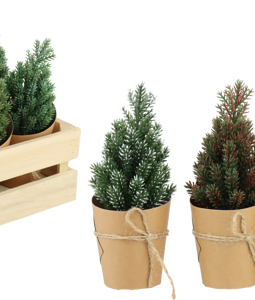 1860 TREES IN BOX WINTERWALD S/15